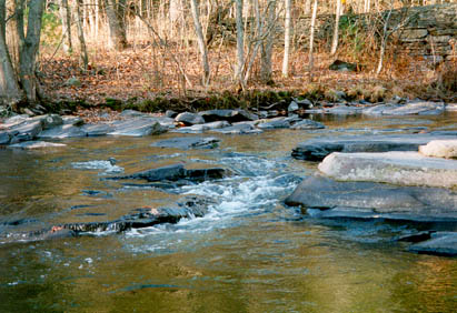 The waters of Ten Mile River near Narrowsburg, NY.