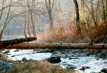 The waters of Ten Mile River near Narrowsburg, NY.